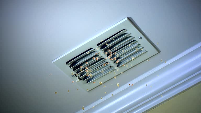 Best General Air Duct Cleaning  in Battle Creek, NE