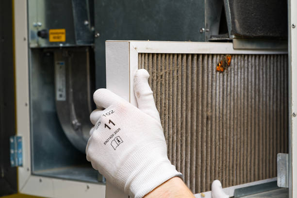 Best Air Duct Cleaning Near Me  in Battle Creek, NE