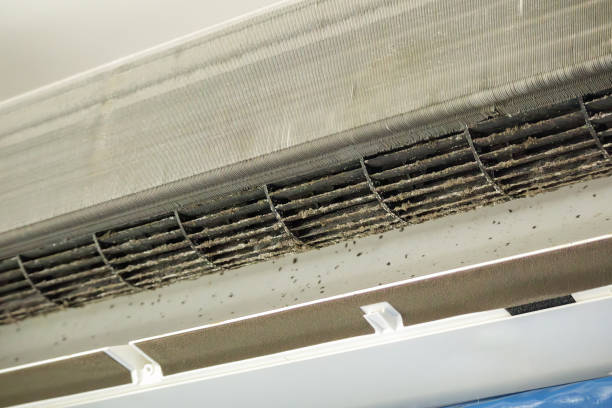 Professional Airduct Cleaning in Battle Creek, NE